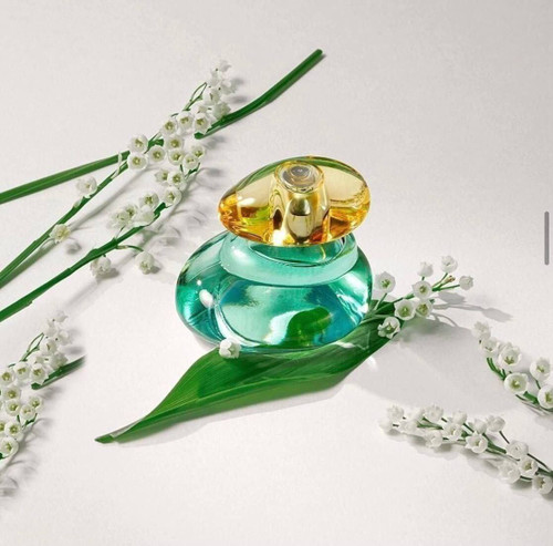 عطر خنک وپرطرفدار ،خنک ملایم و شیرین
